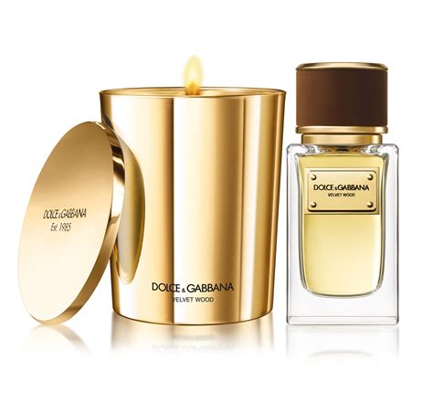 dolce gabbana perfume velvet wood|dolce and gabbana perfume website.